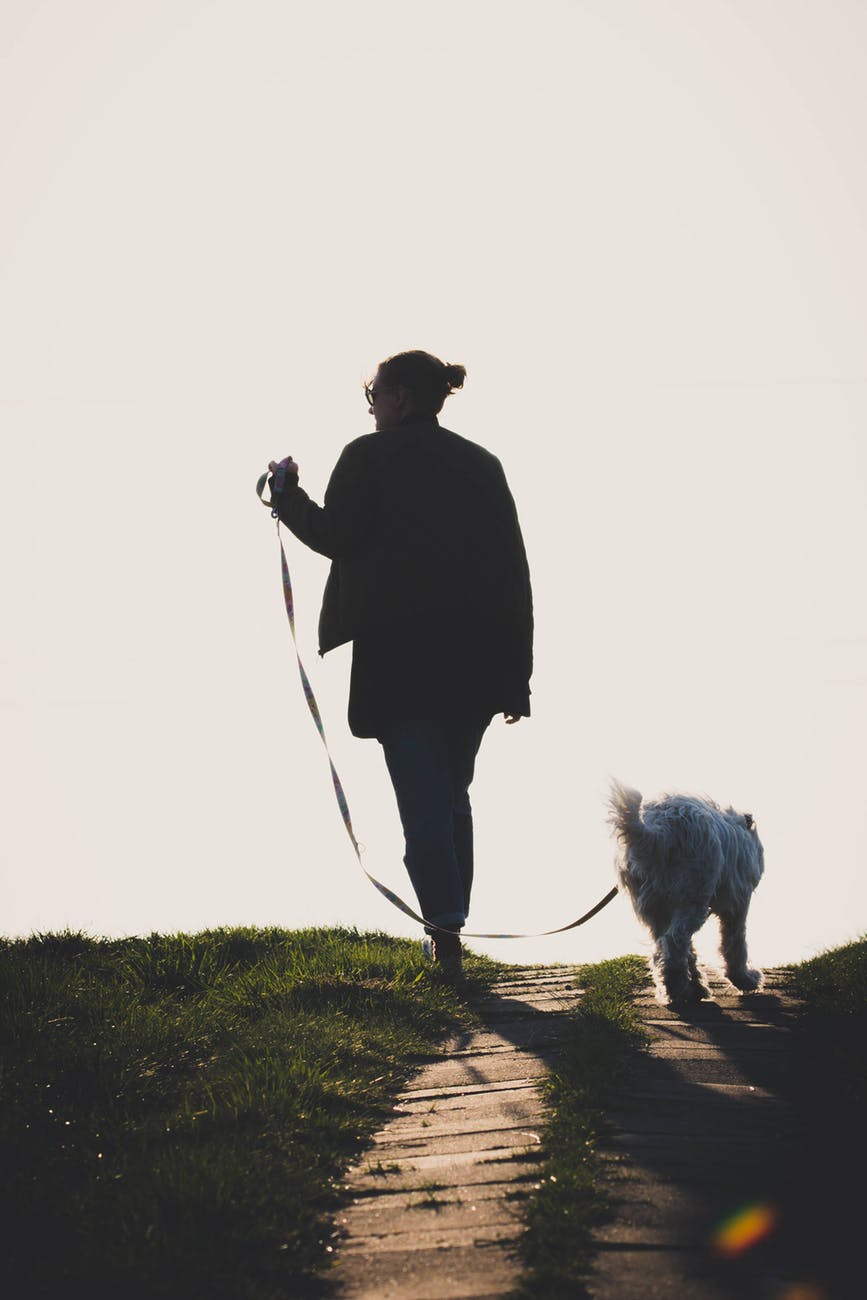 man walking on dirt with dog